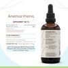 HerbEra Anemarrhena B120 Alcohol-Free Herbal Extract Tincture, Super-Concentrated Anemarrhena, Zhi