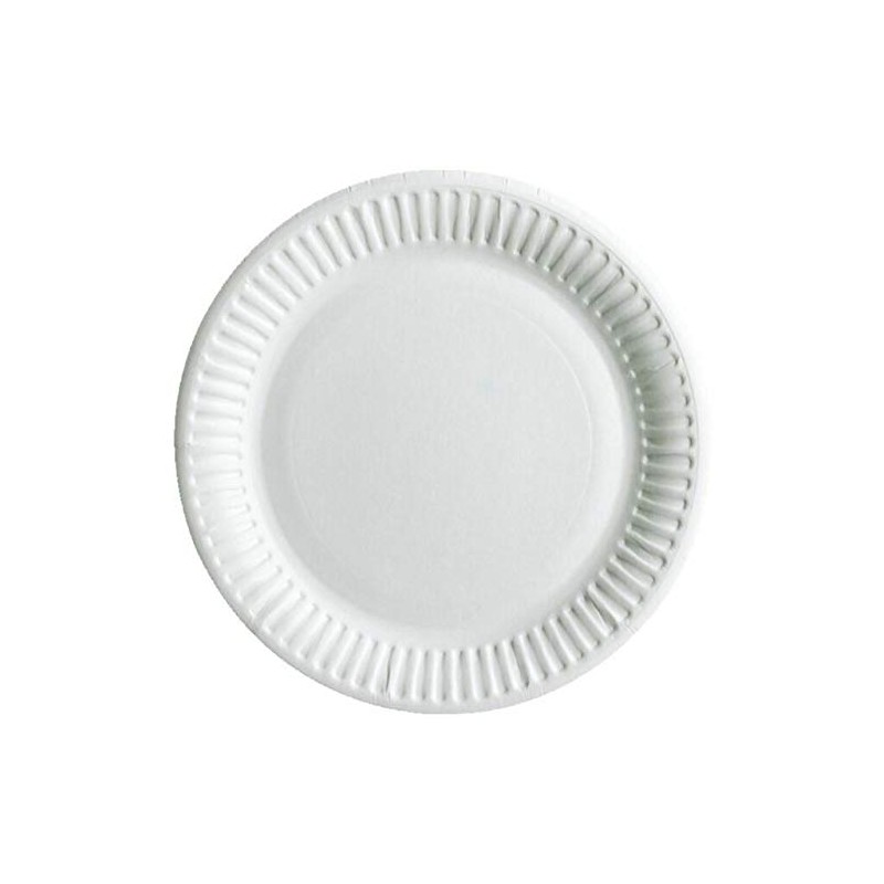 Paper Plates 9 inch/23cm - Pack of 100, Disposable Plates,