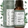 Aceite Esencial De Eucalipto Puro 15ml Para Difusor Y Aroma