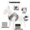 Dog Harness Set with Lead, Dog & Cat, Small Soft