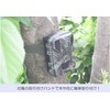 SIGHTRON STR-MiNi800 TT800 Cytron Trail Camera, Infrared, Unmanned Photography Camera