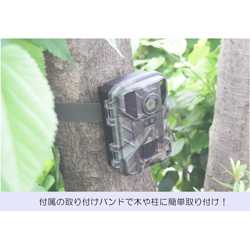 SIGHTRON STR-MiNi800 TT800 Cytron Trail Camera, Infrared, Unmanned Photography Camera
