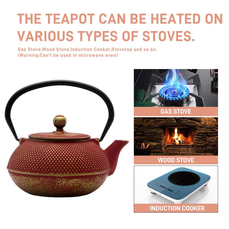 SECHUDO Cast Iron Teapot Tea Kettle with Stainless Steel Infuser
