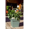 EDA Flower Pot, Laurel Green, Hauteur 32 cm