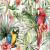 Anniversary House PJ340051 33 cm 20 Pack Tiflair Tropical Macaw