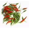 Thai Chili Fresh 14 Oz