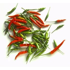 Thai Chili Fresh 14 Oz