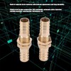 DEWIN Brass Bulkhead Pipe Fitting - Brass Bulkhead Pipe Hose
