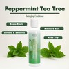 EDEN BodyWorks Peppermint Tea Tree Conditioner | 8 oz |