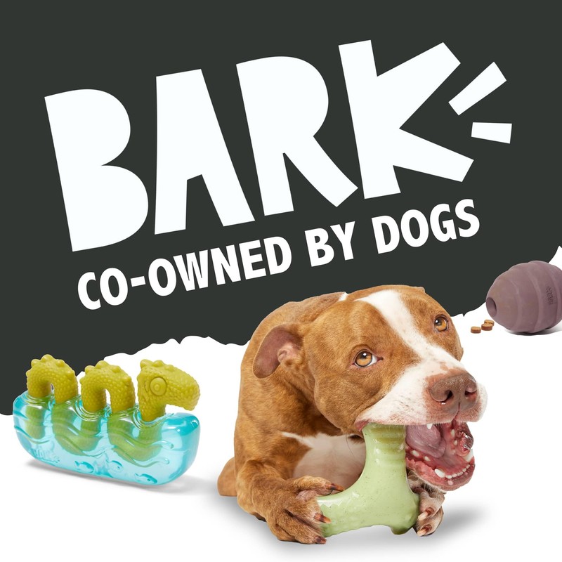 Barkbox Super Chewer Tough Dog Chew Toys for Aggressive Chewers,