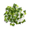 Best Artificial 200cm / 7ft Ivy Garland Hanging Vine String
