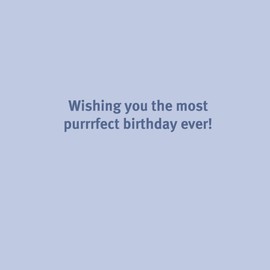 Party Cats Birthday Card by Graphique, Family and Friends, Color-Coordinated Envelope, 5" x 7"