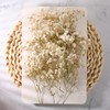 Fumete 200 Pcs Mini Dried Baby Breath Flowers Christmas Ivory