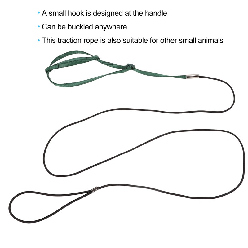 Bird Harness Leash Adjustable Elastic Flying Training Parrot Traction Rope