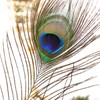 12pcs Beautiful Natural Peacock Feathers 25-30cm for DIY Wedding Holiday