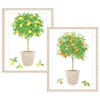 Caspari Citrus Topiaries Assorted Embossed Boxed Note Cards, 40 Note