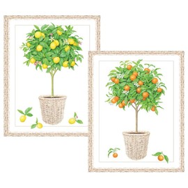 Caspari Citrus Topiaries Assorted Embossed Boxed Note Cards, 40 Note Cards & Envelopes