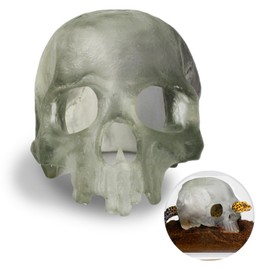 Reptile Hide - Spooky Skull Decor Reptile Tank Accessories. Great Small Snake Hide or Skull Aquarium Decor for pets. Reptile Terrarium decor for Snake Tank. Unique & Durable Cave Reptile Hideout.