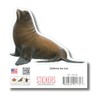 Earth Sky + Water - California Sea Lion - 3.5_
