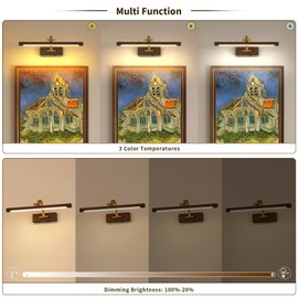 DESOOP Picture Lights for Wall Battery Operated, 3CCT Dimmable Gallery Light with Remote and Timer Wood Grain Finish Art Lighting for Paintings and Portraits, 15.75'' Inch 3W