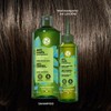 Yves Rocher Tratamiento capilar Anticaspa: Shampoo Anticaspa (300 ml) +