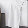 Wear & Snug Flat Sheet 100% Egyptian Cotton Flat Sheet