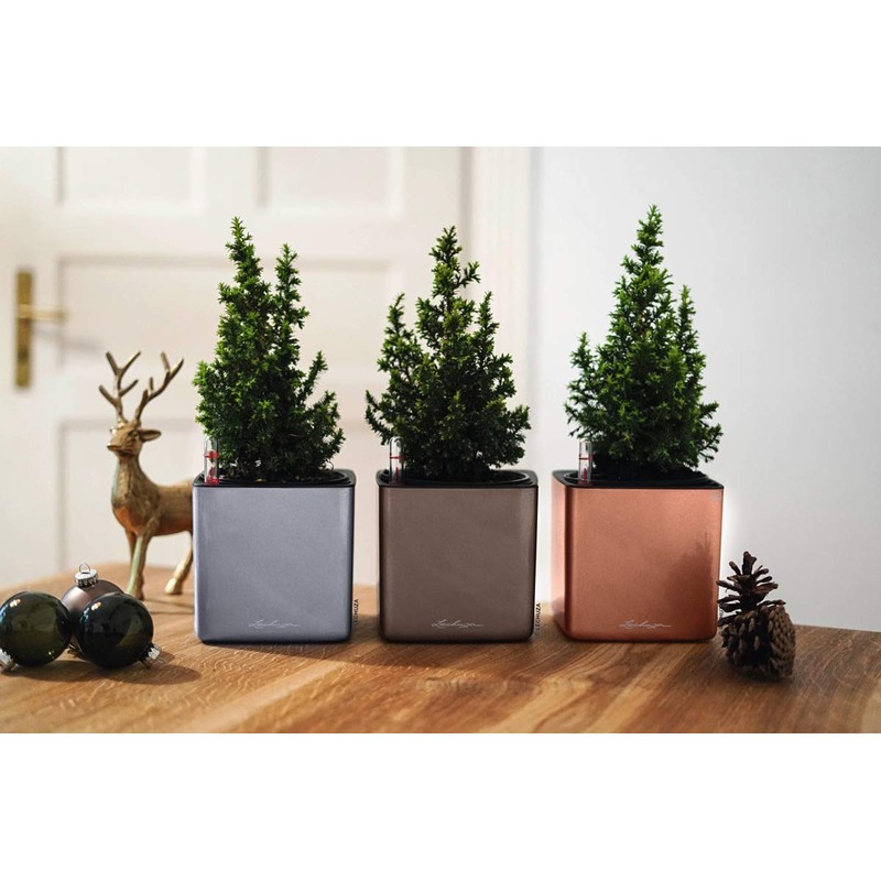 LECHUZA Cube Glossy 14 High-Quality Plant Cubes with Stick Irrigation