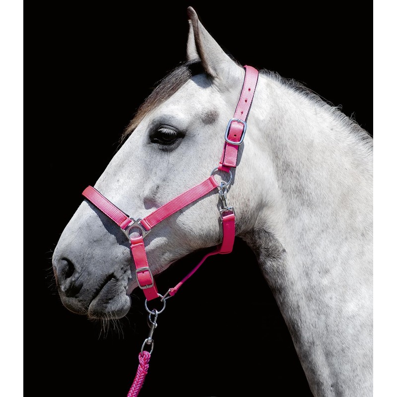 HKM Sports Equipment Stars Soft Lined Headcollar Neon Yellow Thoroughbred