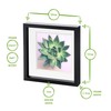 Nicola Spring 10'' x 10'' 3D Box Photo Frame with