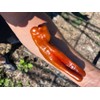Saraga Giant Sweet Pepper Seeds Heirloom Heritage Breed Premium Seeds