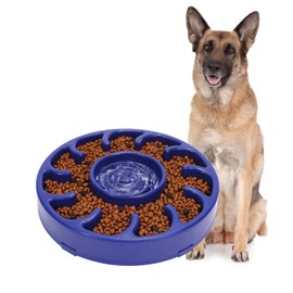 JASGOOD Slow Dog Bowl for Large Dogs,Anti-Gulping Dog Slow Feeder Stop Bloat,Slow Eating Big Pet Bowl (F-Dark Blue)