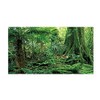 FUWQWKUI Aquarium Background Sticker Rainforest Pattern PVC Self Adhesive for