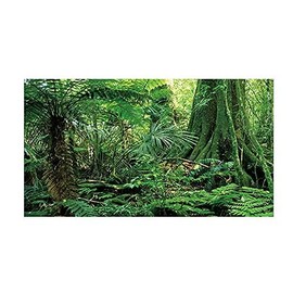 FUWQWKUI Aquarium Background Sticker Rainforest Pattern PVC Self Adhesive for Reptile Box Fish Tank Wall Decoration