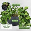 Dexceder 10.5 Inch Large Self Watering Hanging Planters Indoor Outdoor,