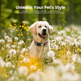 PawView Dog Collar with Smart ID Tag – Adjustable Soft Padded Heavy Duty Comfortable Dog Collar with Cute Pop Art Doodle Design for Small Medium Large Dogs (Red, Large)