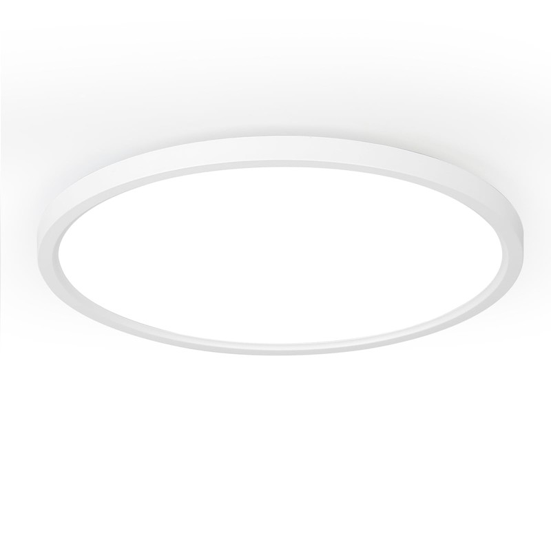 TALOYA 2 Pack of White 10 Inch Ceiling Mount LED