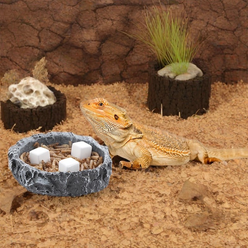 DQITJ 24 Pcs Reptile Calcium Stone Natural Calcium Mineral for