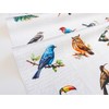 Lalikul Fabric Birds, 100% Cotton Pictures, 42 Different Motifs, Fat