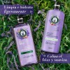 Kit Shampoo Acondicionador 600 Herbal Essences