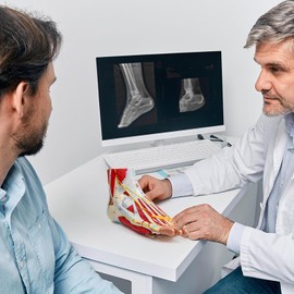 Human Foot Anatomical Model, Foot Joint Muscle Neurovascular Ligament Model, 9 Part Detachable, Life Size Foot Muscle Anatomy Model For Medical Teaching Learning