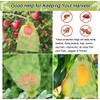 100 Pcs Fruit Protection Bags, 6''×8'' Fruit Netting Bags for