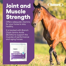 Ramard Total Lactic Care, Muscle Function Support Supplement, 25 Grams, Single Serving