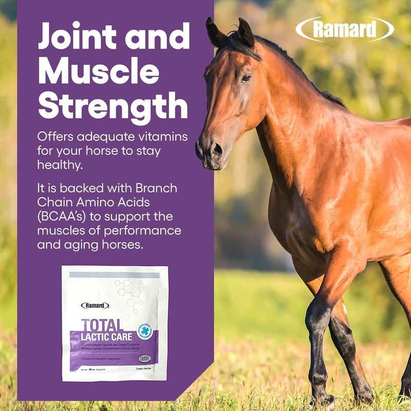 Ramard Total Lactic Care, Muscle Function Support Supplement, 25 Grams,