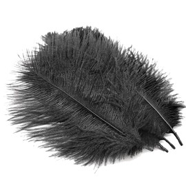50pcs 15-20cm Abundance Natural Ostrich Feathers Plume Stage Flower Arrangement Performance for Wedding Party Home Decoration (Black)
