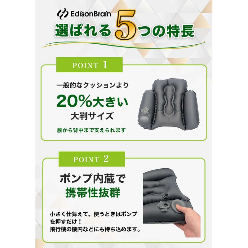 2024 Newest (Physical The) Lumbar Pillow, Large Back Support, Shinkansen