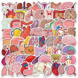 Cute Cartoon Organs Stickers for Kids Teens Adults, 65PCS Medical Body Organ Anatomy Stickers Pack for Student Nurse, Waterproof Vinyl Sticker Bulk for Water Bottle,Laptop,Scrapbook