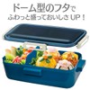 Skater PFLB6AG-A Lunch Box, Ocean Blue, 18.9 fl oz (530