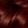 Clairol Nice 'N Easy 3.5BG Dark Burgundy
