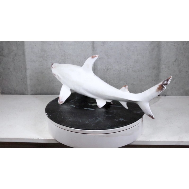 Nautical Ocean Marine Great White Shark Swimming Antiqued White Figurine