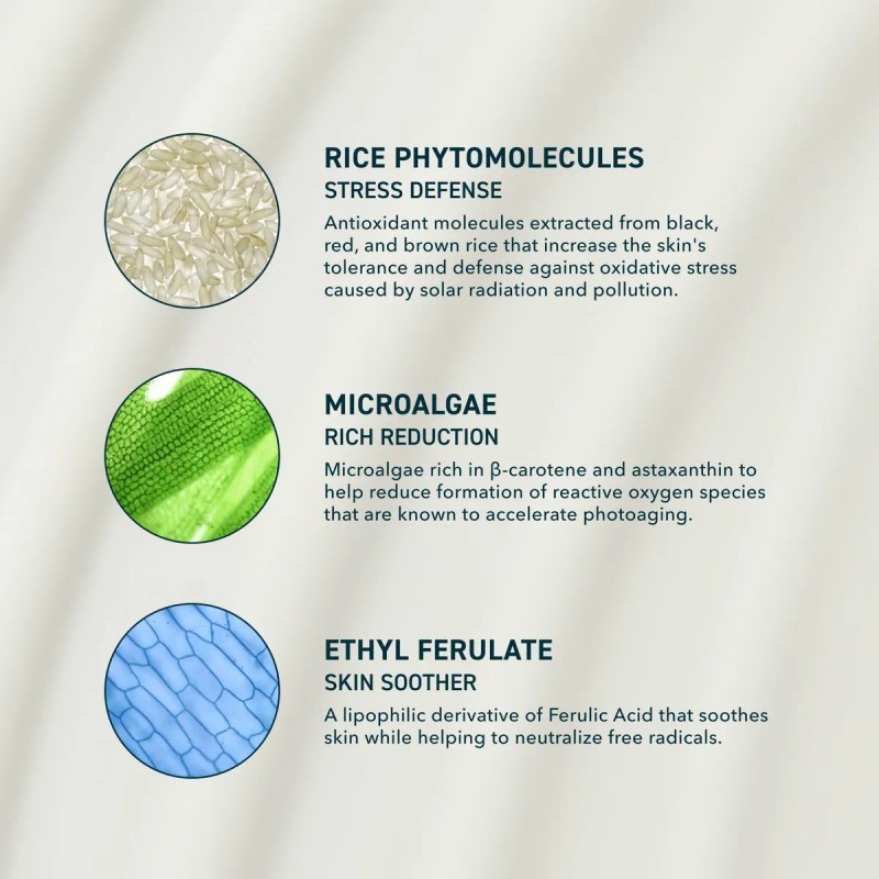 Skin Solar Shade - Protector Solar Facial Hidratante Fps 46